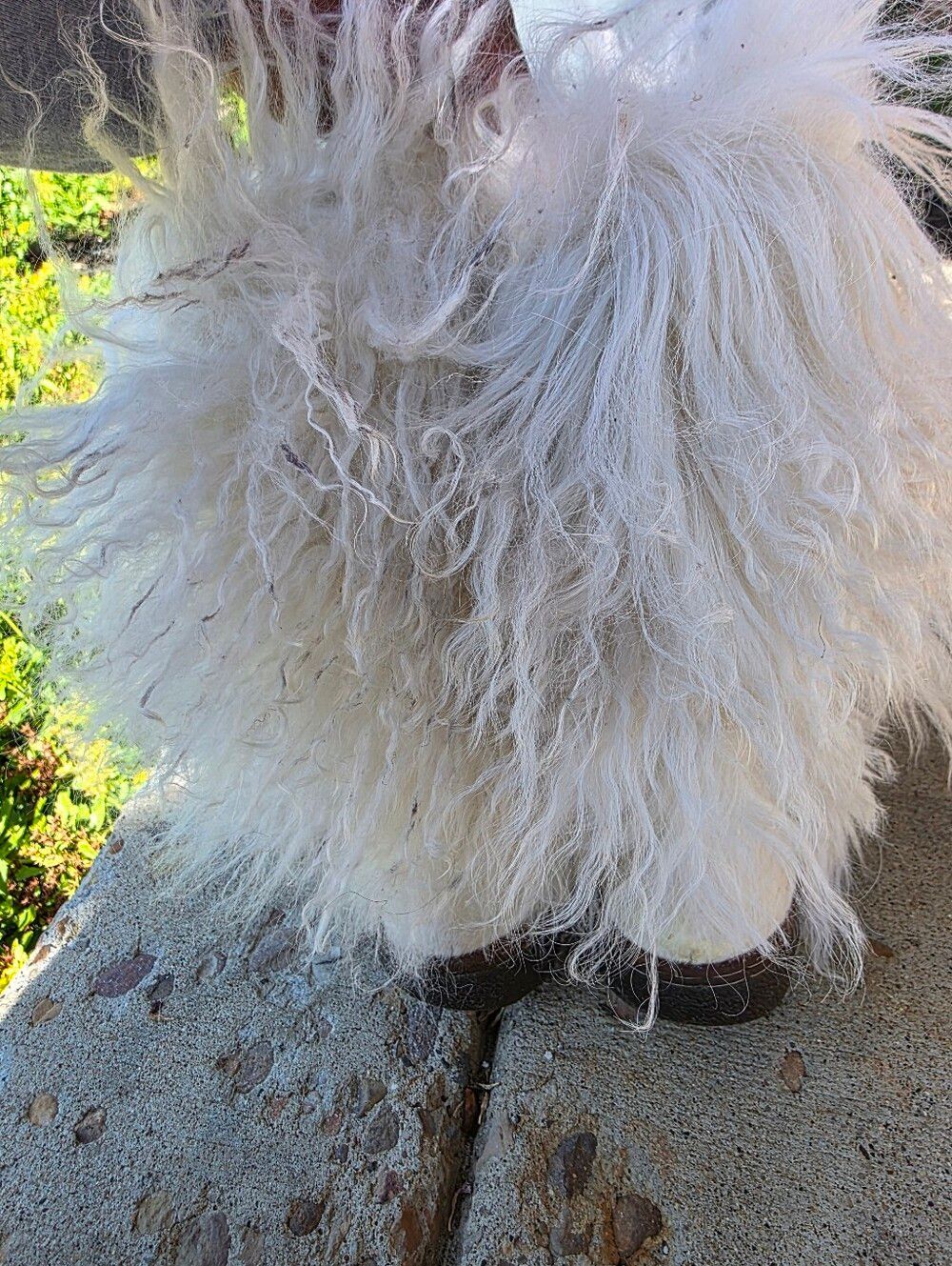 BearPaw Boetis ll Real White Lamb Fur Wool Lined Boots Womens Size 7 - Picture 8 of 15